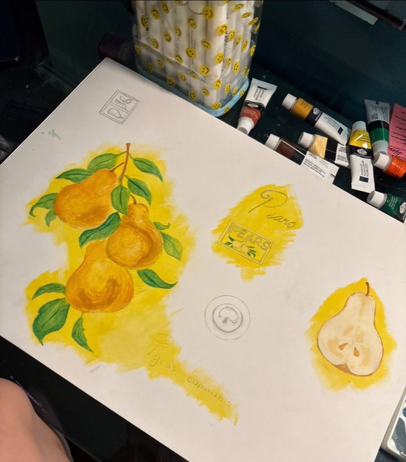Pear study paintings, by Maiia